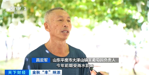 智慧物流助山东葡萄从“枝头”直抵“舌尖”火狐电竞(图2) 智慧物流助山东葡萄从“枝头”直抵“舌尖”火狐电竞(图2)