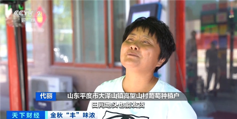 智慧物流助山东葡萄从“枝头”直抵“舌尖”火狐电竞(图6) 智慧物流助山东葡萄从“枝头”直抵“舌尖”火狐电竞(图6)